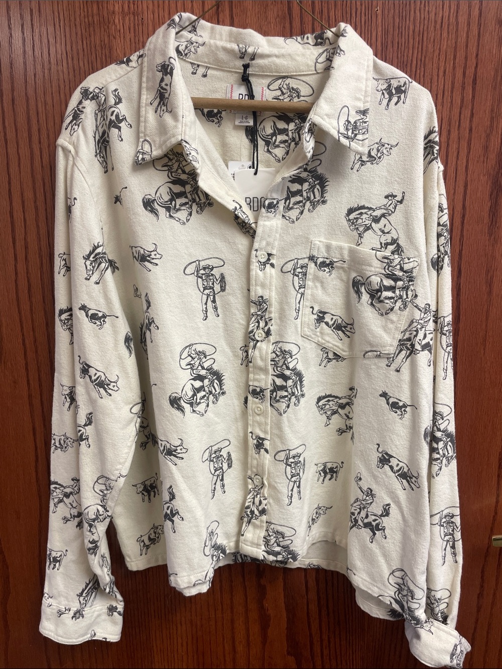 BDG Urban Outfitters Button-Down Western Shirt